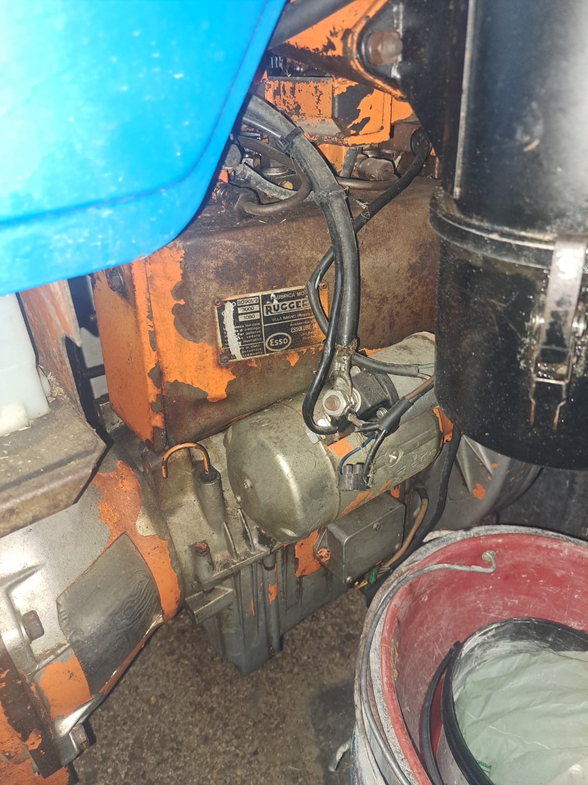 Pasquali 26 cv snodato