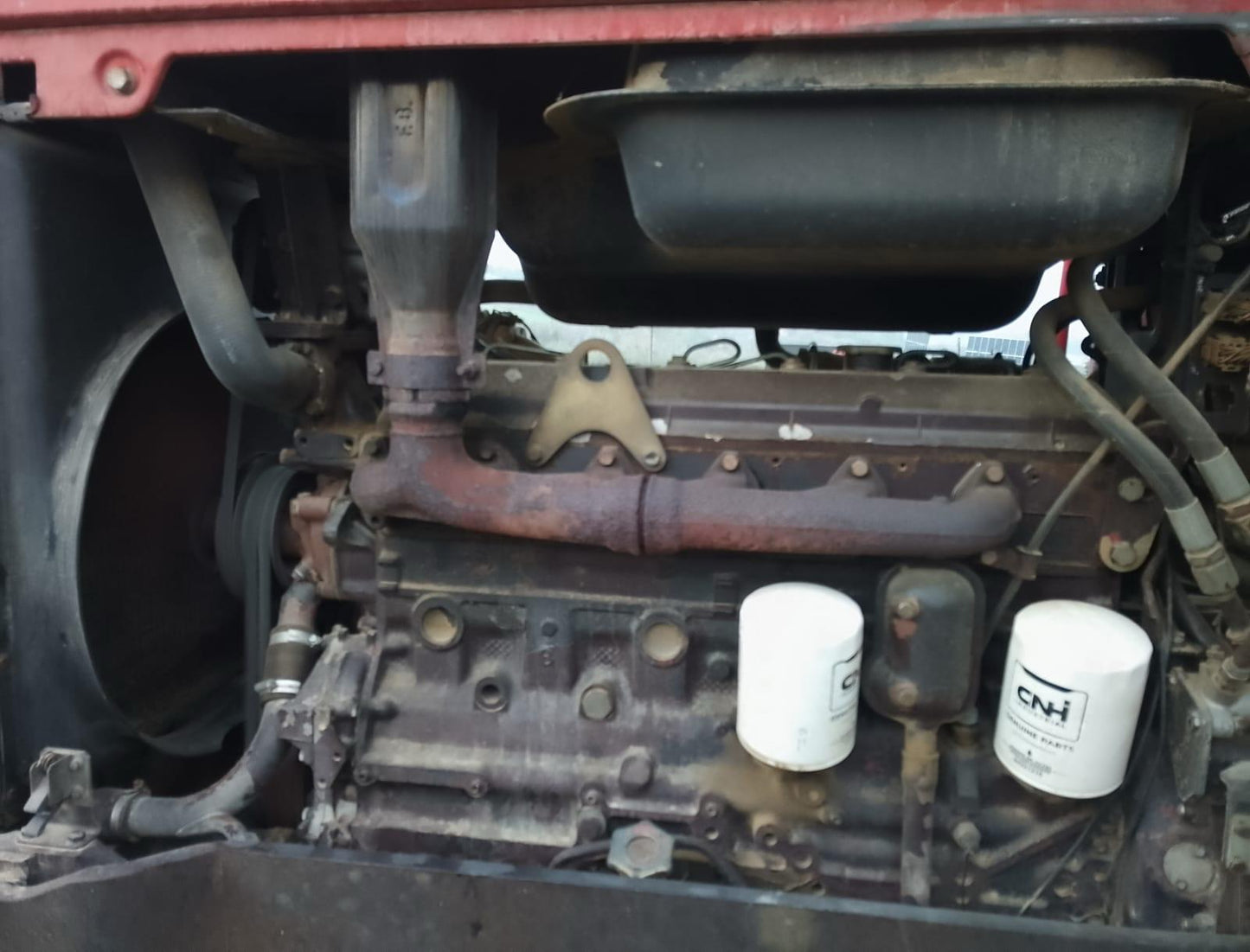 Fiat F100