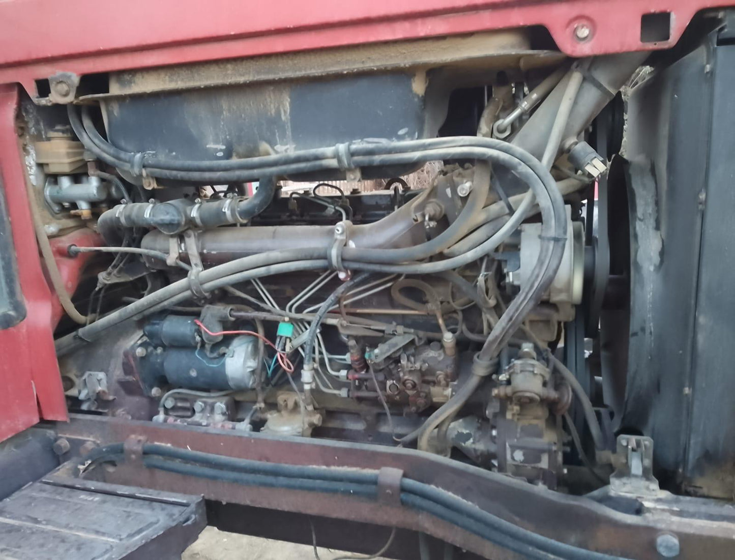 Fiat F100