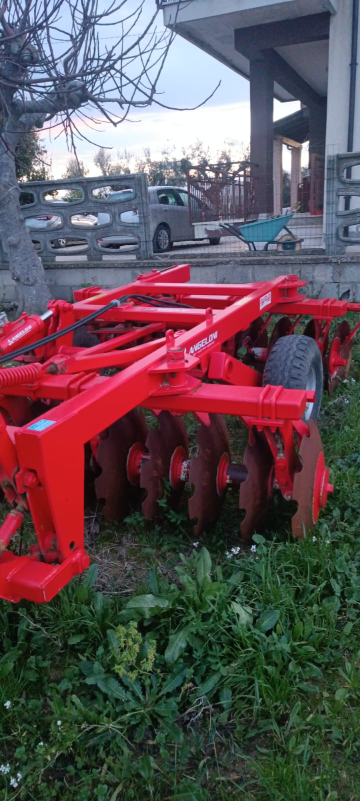 Frangizolle morgano 255