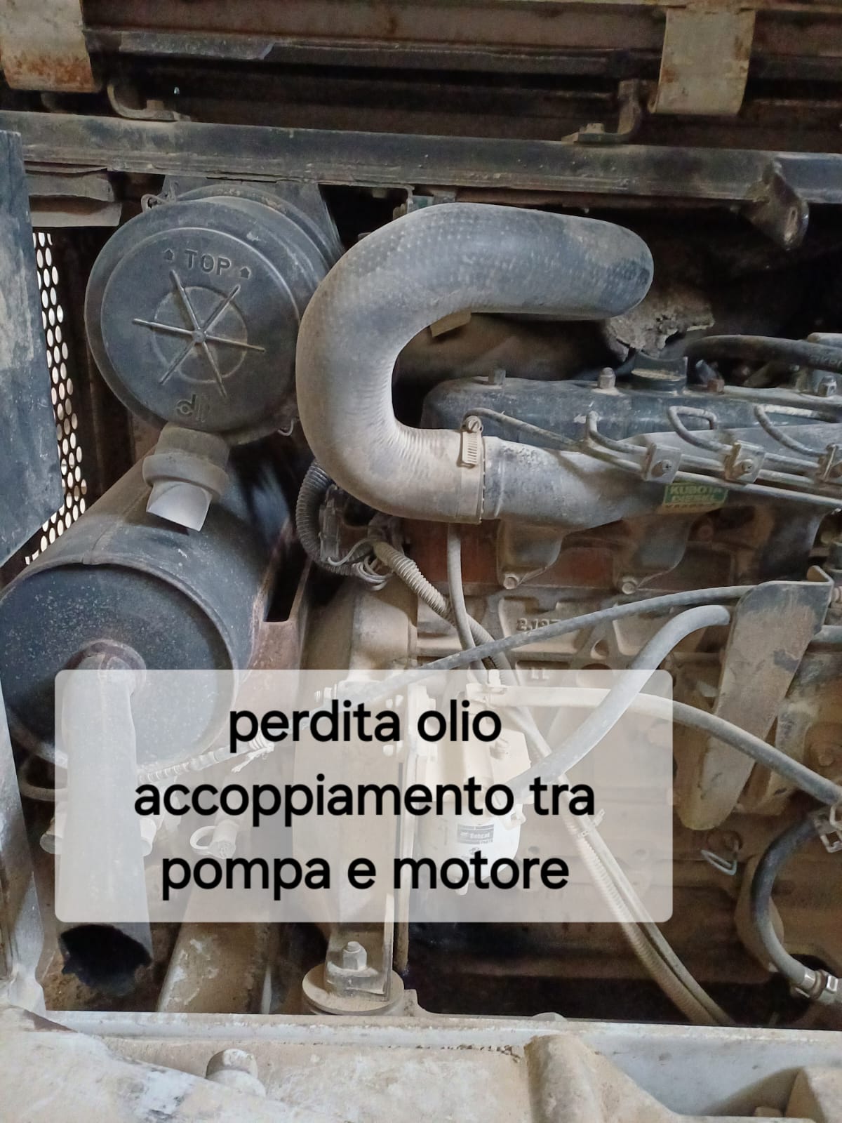 VENDUTO Escavatore Bobcat 32 qli
