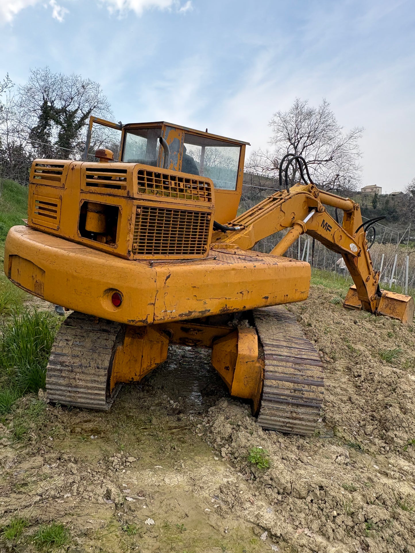 Escavatore Massey Ferguson 80 qli