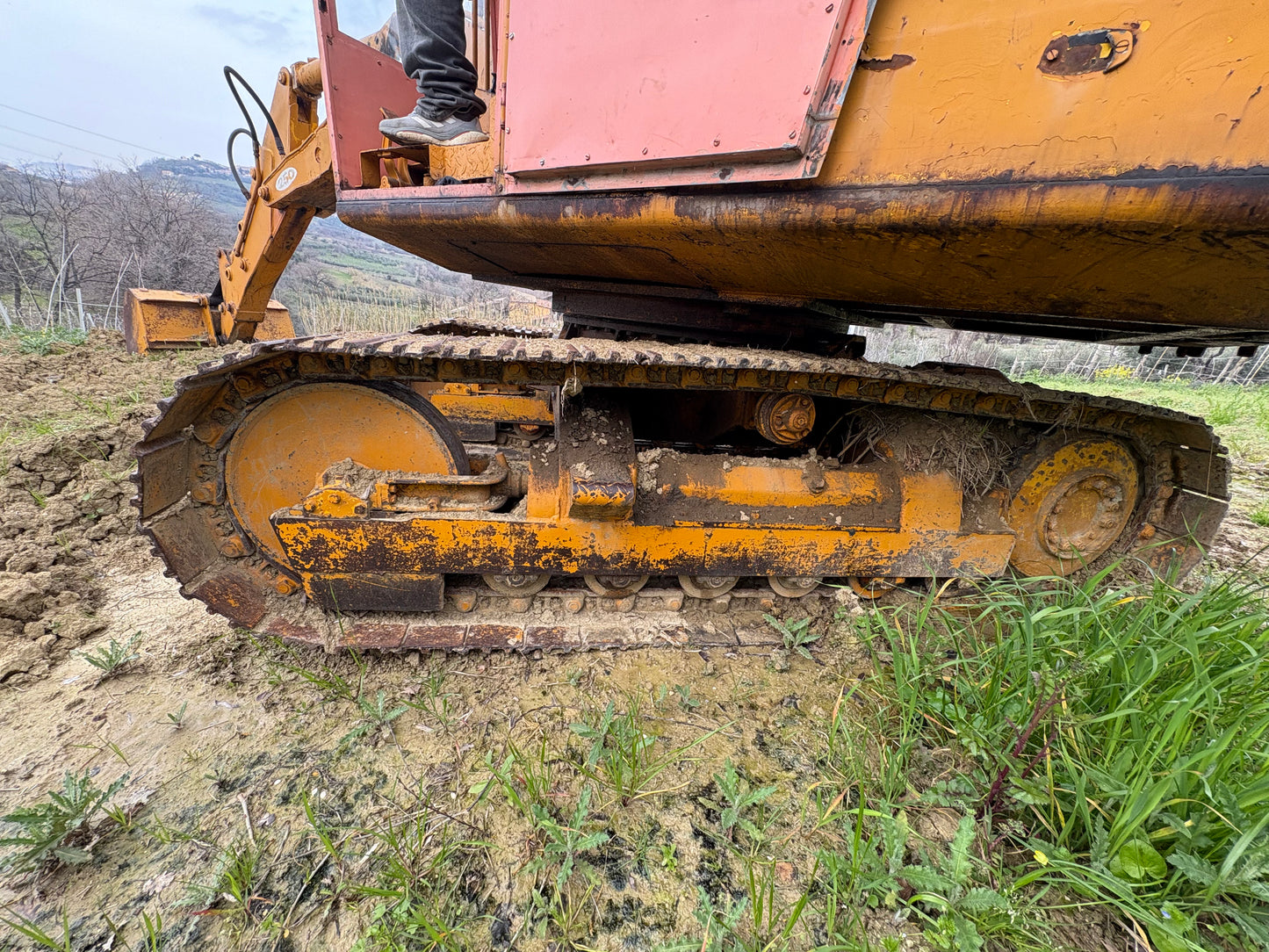Escavatore Massey Ferguson 80 qli