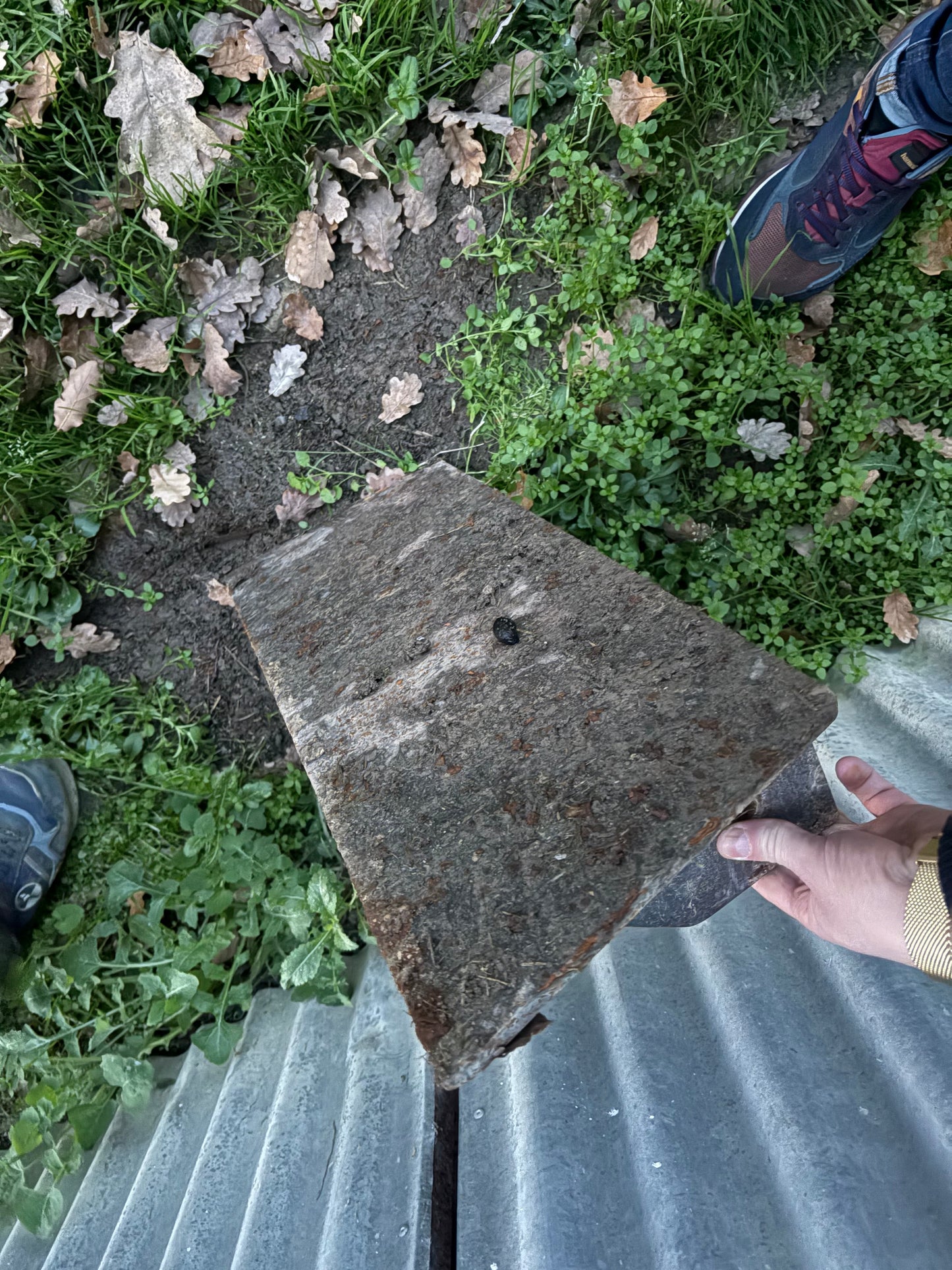 Escavatore Bobcat 20 qli