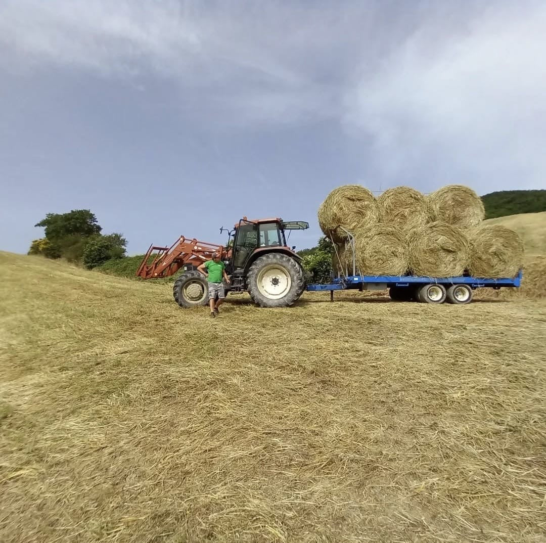 VENDUTO New holland FiatAgri M135