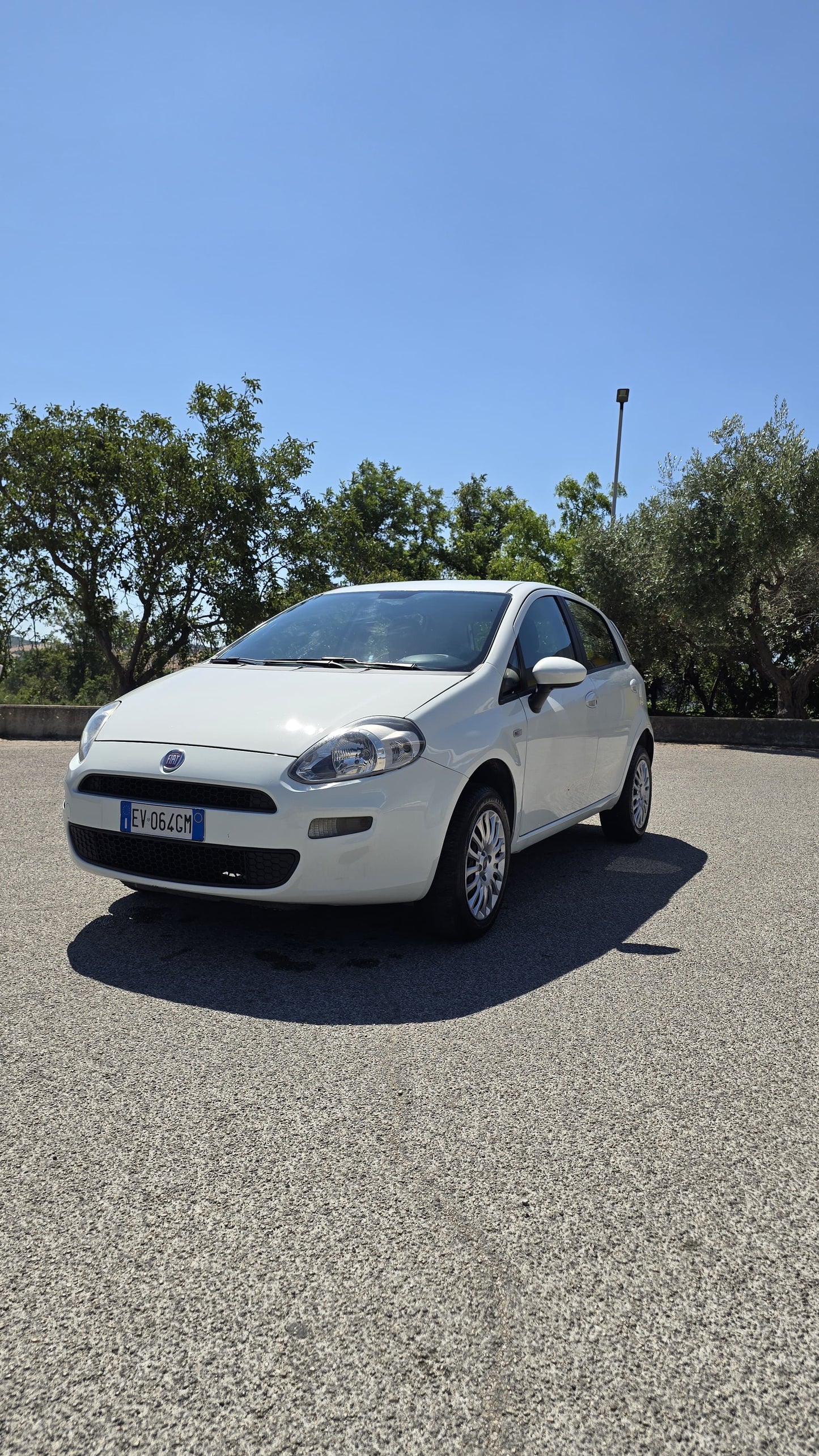 Fiat punto Evo, metano