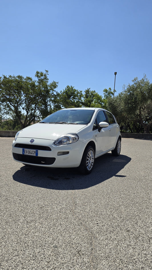 Fiat punto Evo, metano