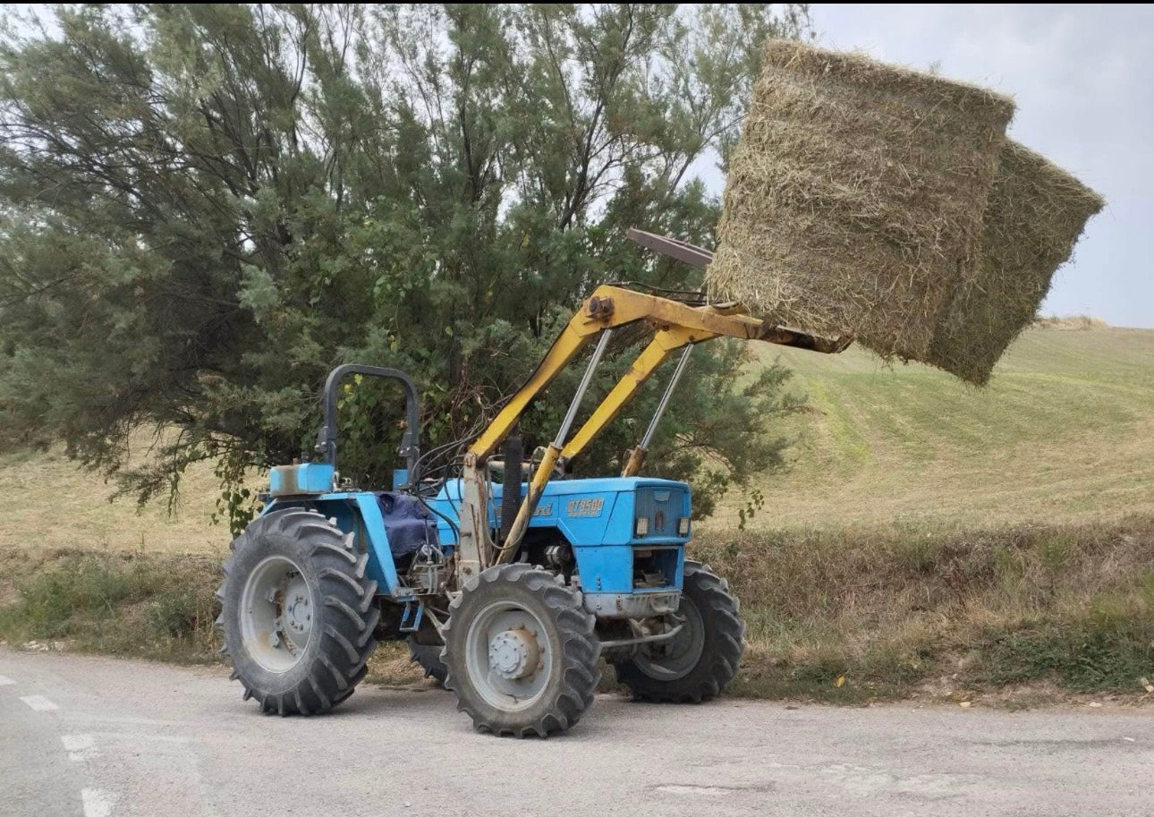 ✅ venduto ✅ Landini 8500 special