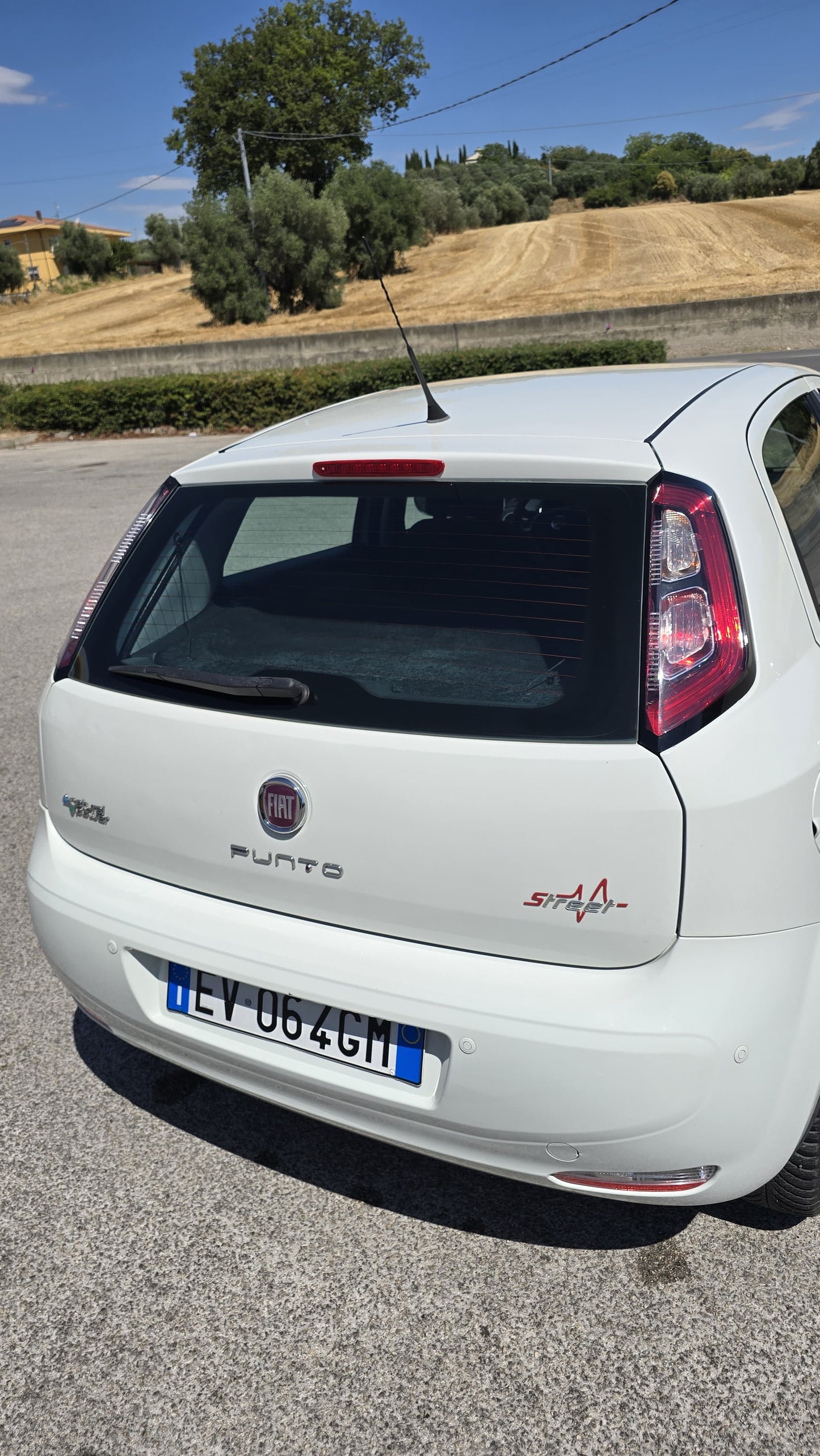 Fiat punto Evo, metano