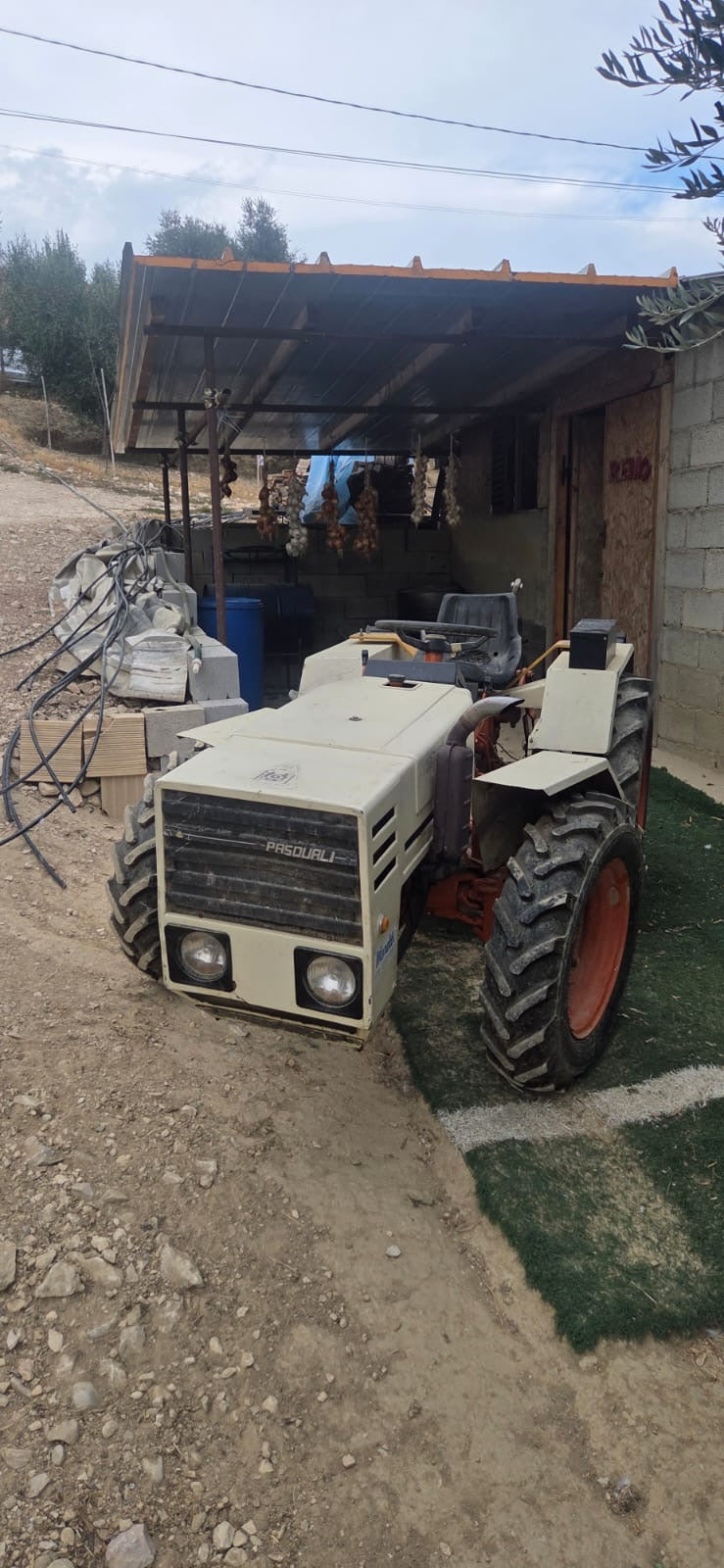 Trattore trattorino gommato PASQUALI 979 RS ruote sterzanti
45 cv