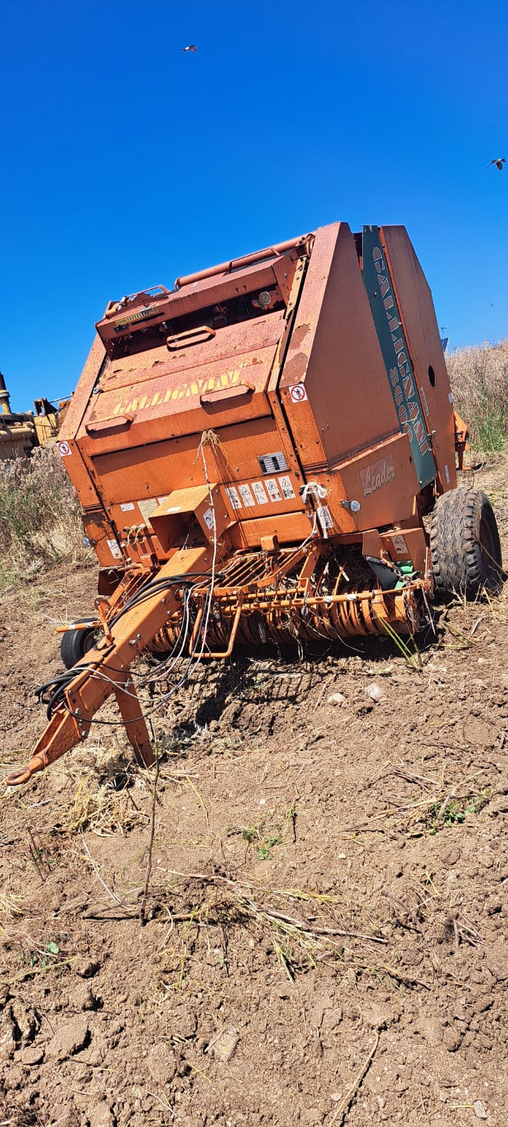 Rotoballa Gallignani 8600