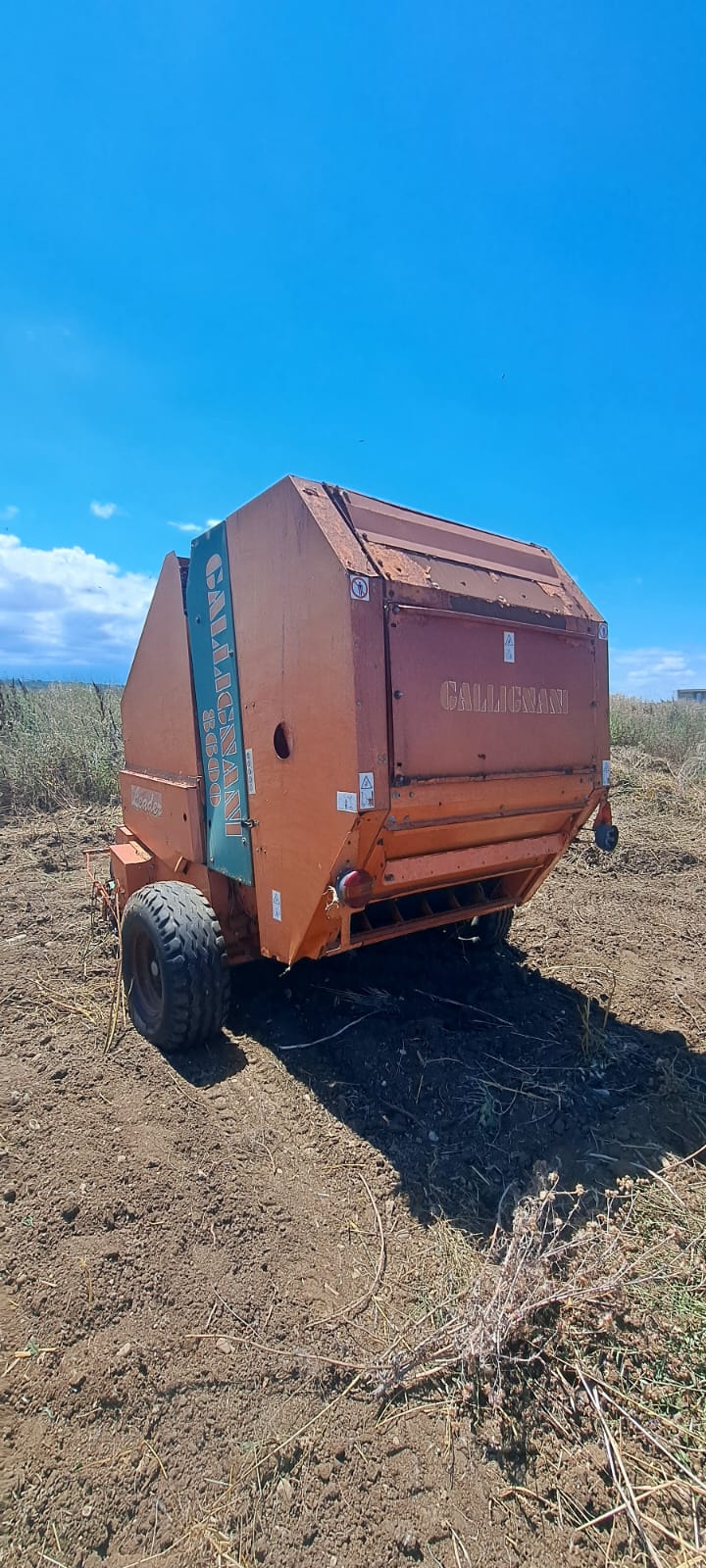 Rotoballa Gallignani 8600