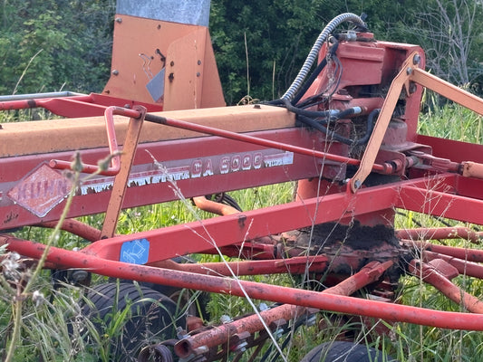 Ranghinatore Kuhn 8 metri