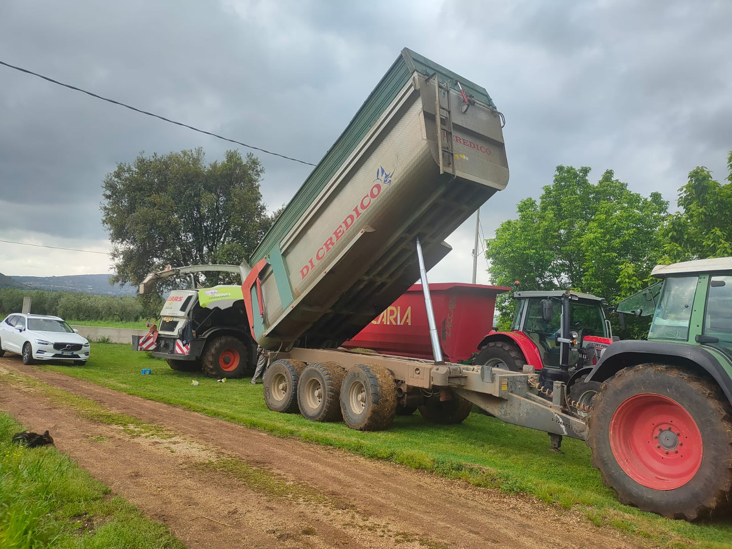 Rimorchio dumper