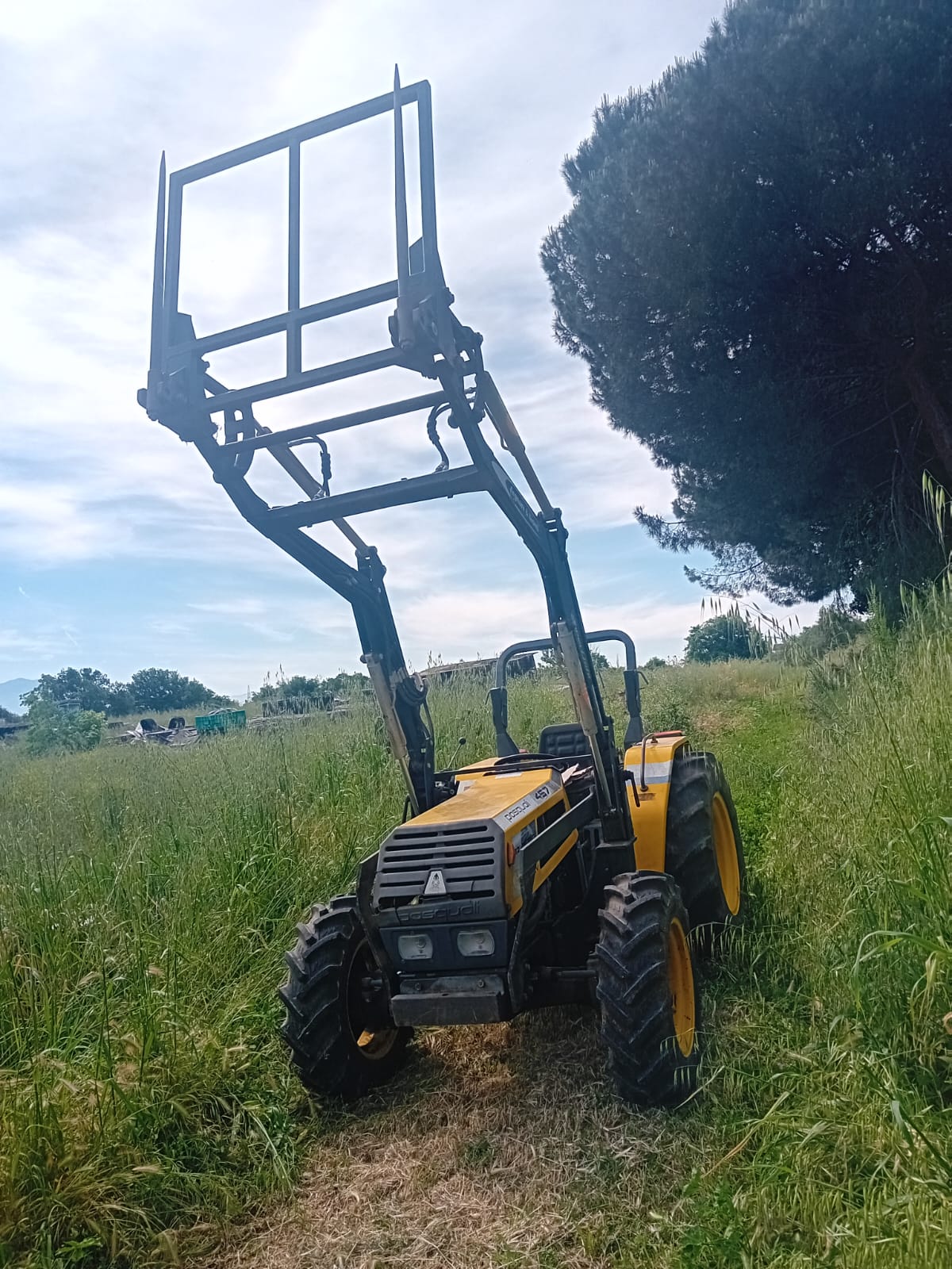 Venduto Pasquali 60cv